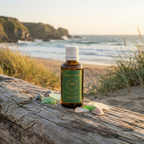 Special Edition Aroma – 10 ml